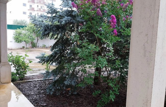 Casa com ALma - Foto 15