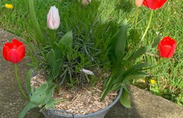 Gite de la Huberderie - Foto 9