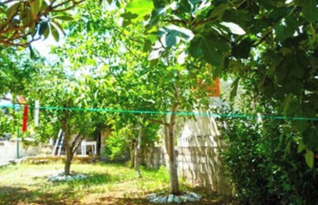 Beachfront Holiday House Žal - Foto 36