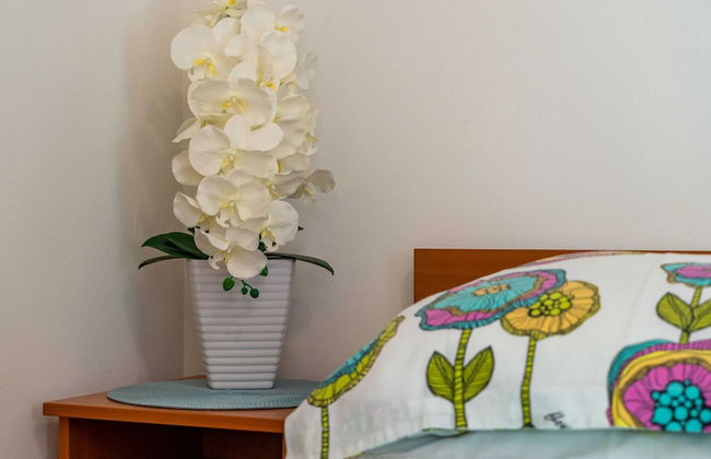 Apartments and Room Frane- Standard Studio With Terrace - Photo 16