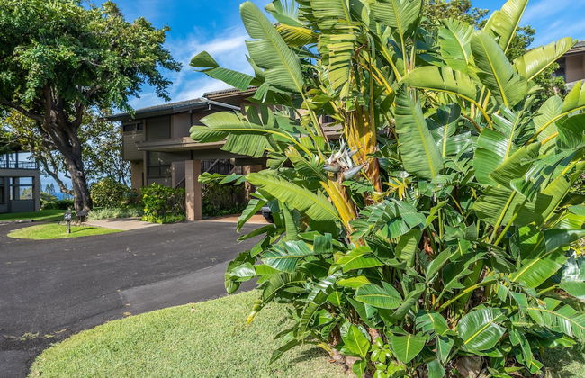 Kapalua Ridge Villas 2612 - Photo 40