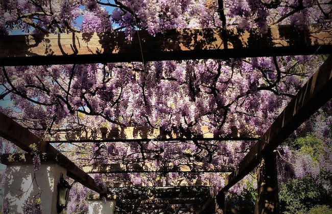 Relais La Rupe - Foto 41