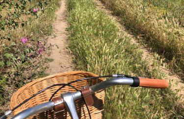 Domus Deiana Case Vacanza - Foto 73