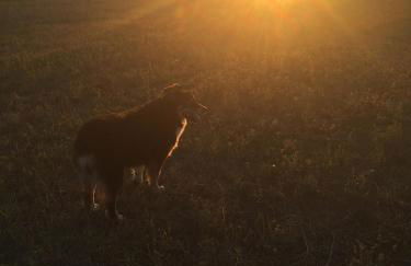 Casavacanze Da Cri - Foto 14