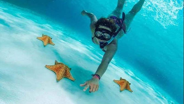 Enjoy snorkelling in crystal-clear waters