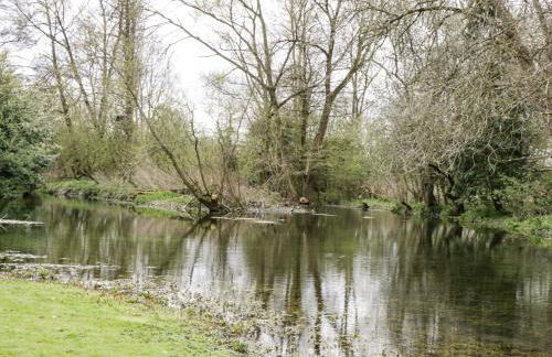 Cosynook Cottage - Photo 22