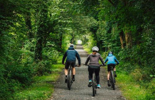 3 Bed in Knighton oc-b29329 - Photo 22