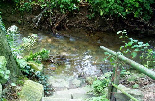 Ferienwohnung am Ellerbach - Foto 23