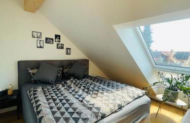 Urlaub im fränkischen Seenland - Foto 56