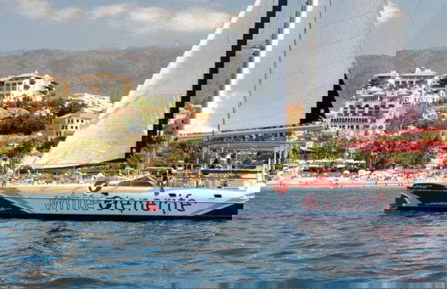 Giro in catamarano di 5 ore con avvistamento e ascolto di cetacei - Foto 9