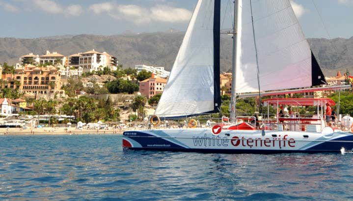 Costa Adeje Whale & Dolphin Watching