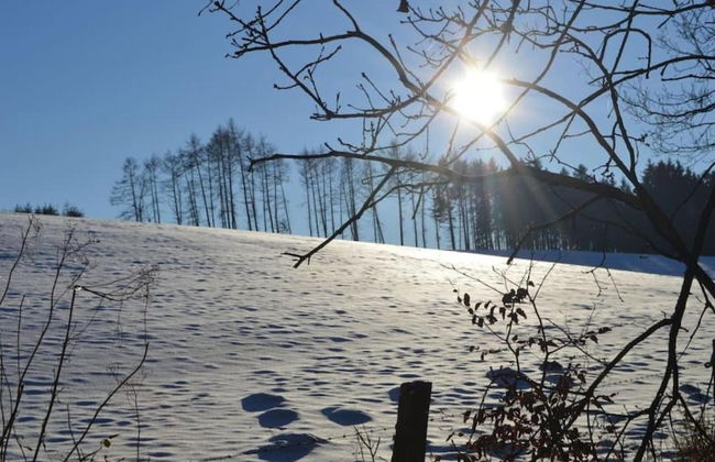 Group Cottage in Lierneux - Photo 30