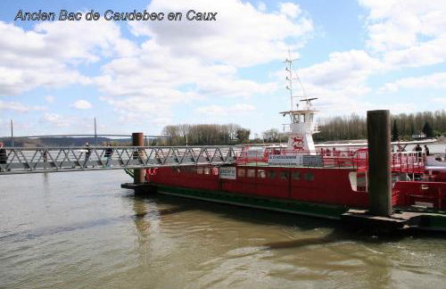 Les Hellebores - Foto 70