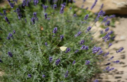 Santolina Etrusca Bed and Breakfast, Sauna, Hammam, Jacuzzi - Foto 25