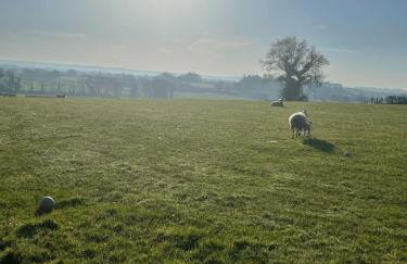 Granny's House - Kilrea - Foto 17