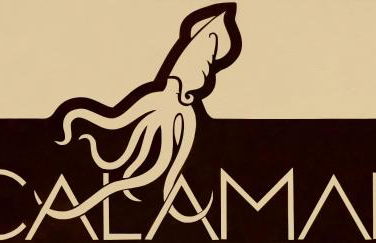 Calamar Flats Paraty - Foto 114