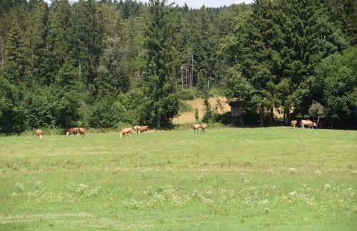 Ferienwohnung beim Hainz - Foto 32