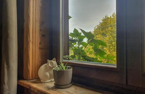 Kałamunka - Foto 36