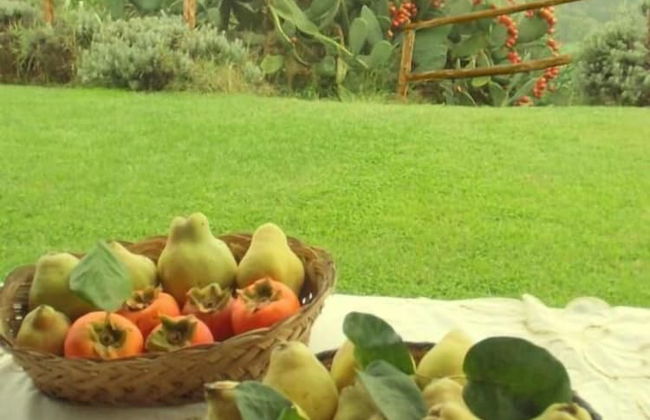 Casale Di Colle - Foto 16