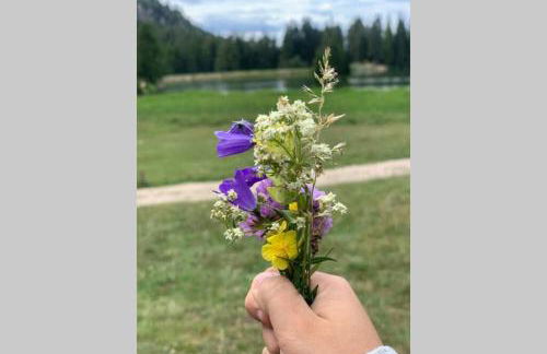 Residence Bellavista - Photo 22