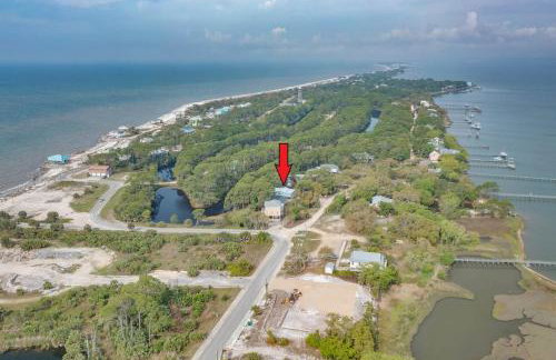 For the Birds- on the water - Foto 8