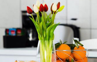 Over the skyline - Photo 38