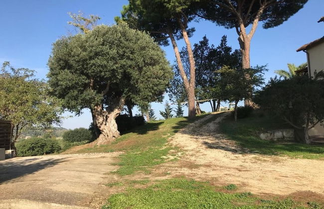 Agriturismo Il Poderino - Foto 13