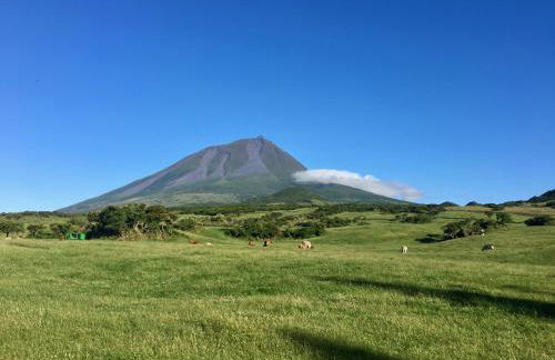 Casa do Almance - Photo 50