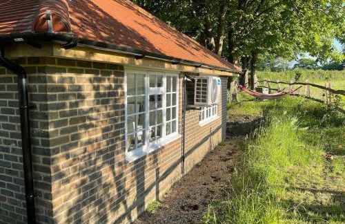 Motts Lodge - Photo 19