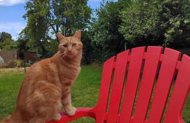 La Casa Bidule - Photo 42