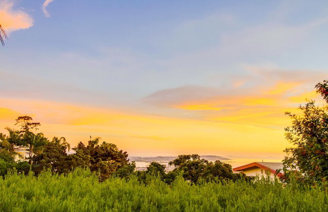 Tropical 5BR La Jolla Retreat by NamaStay - Foto 56