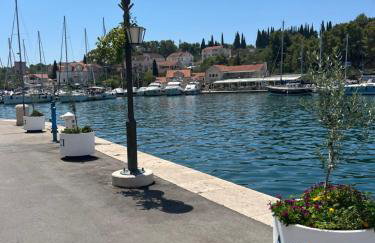 Nada Apartment, Uvala Koramaslinova, Brač - Photo 34