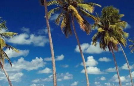 Chalet no paraíso - Foto 32