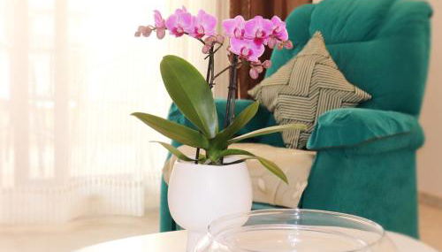 APARTAMENTO MORAIRA - 3 Habitaciones - Photo 3