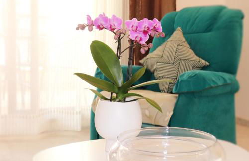 APARTAMENTO MORAIRA - 3 Habitaciones - Photo 3