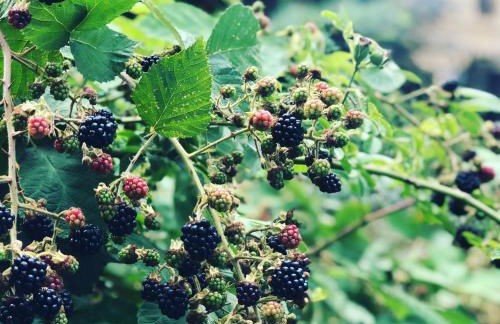 Alte Bahnstation Leipzig (Appartement TWO & ONE) - Foto 23