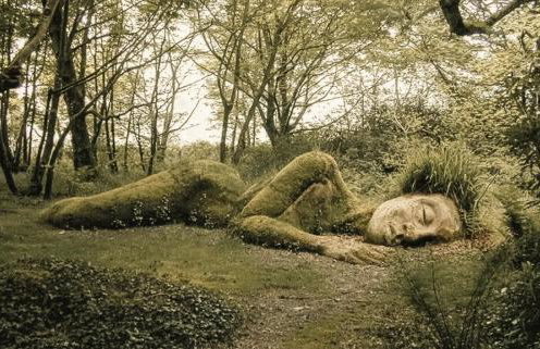 Tredethick Farm Cottages - Foto 36