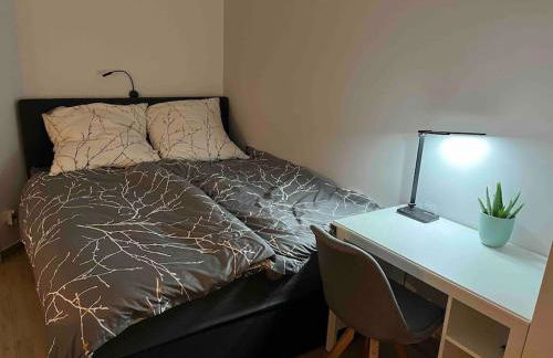 Neu sanierte Wohnung für 2-4 P - Foto 36