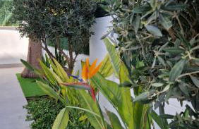 Holidoo Travel "Villa Deluxe" - Foto 22