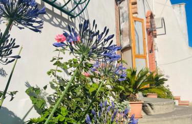 Il cortile fiorito - Photo 21