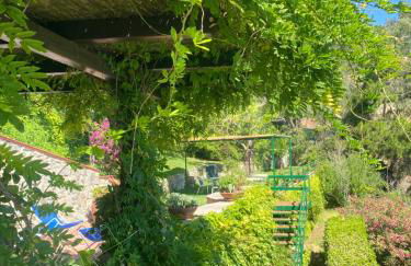 Villa Alcado - Photo 68