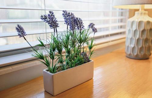 Sunny Delight - Foto 21