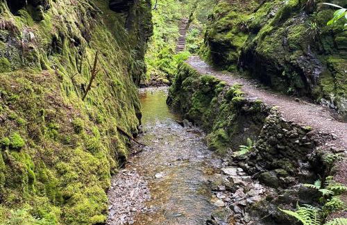 Brookfield - Photo 35