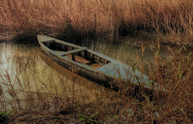 Delta del Ebro Day Trip & Boat Ride - Photo 1