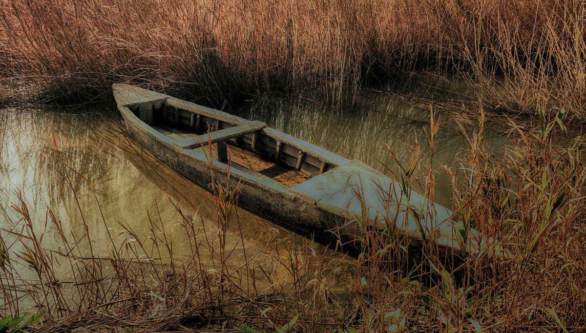 Paseo por el Delta del Ebro