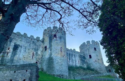 Morfarch traditional stone cottage within Conwy walls - Foto 19