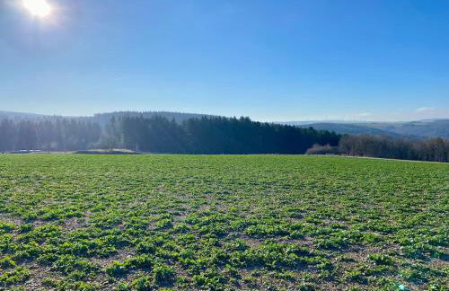 Familienwohnung im Hochwald Nähe Trier und Mosel ruhig und naturnah - Foto 4