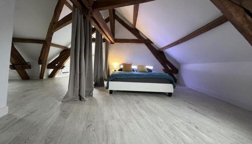 L armurerie - Appartement centre ville de Sens - Foto 4