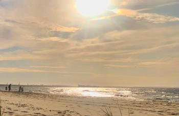 Apple Tree House - Foto 64