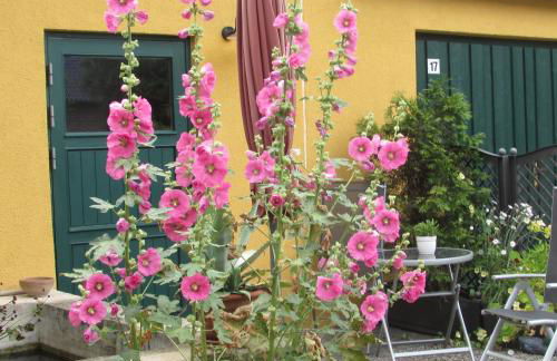 Ferienwohnung "Eifelstueffje" - Foto 36